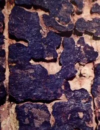 Purple stone wall with pink masonry
