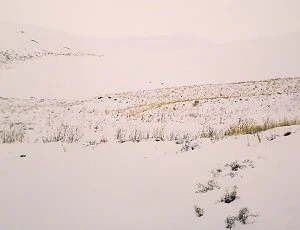 pink sand dunes