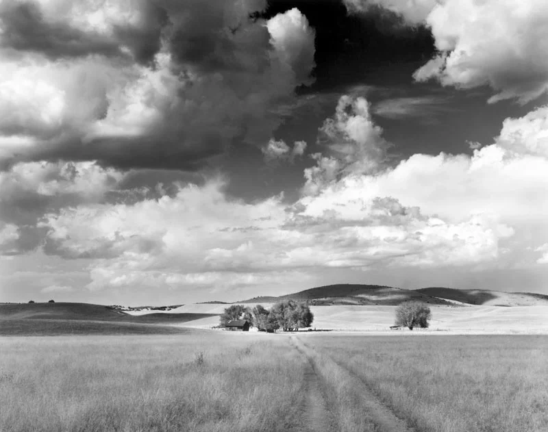 cloudscape fields