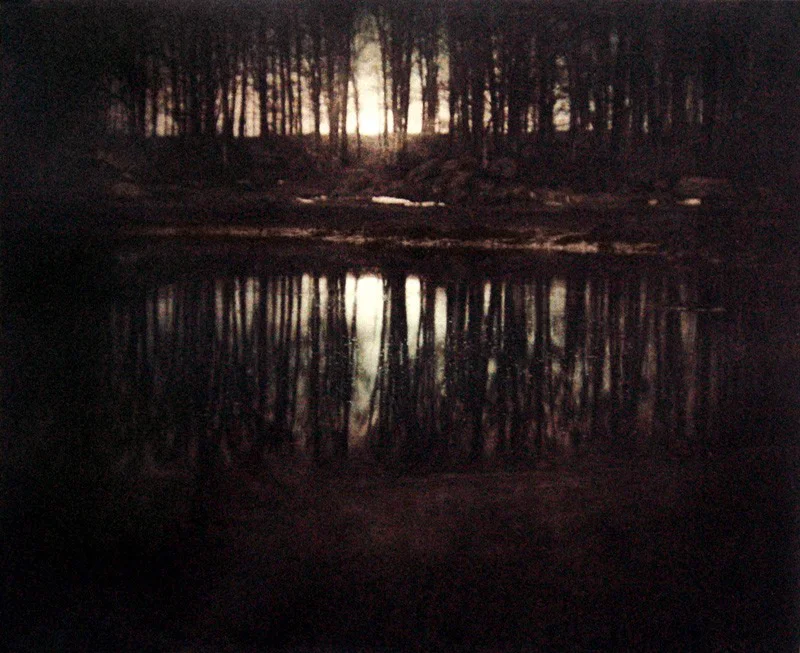 landscape backlit forest mirror in lake