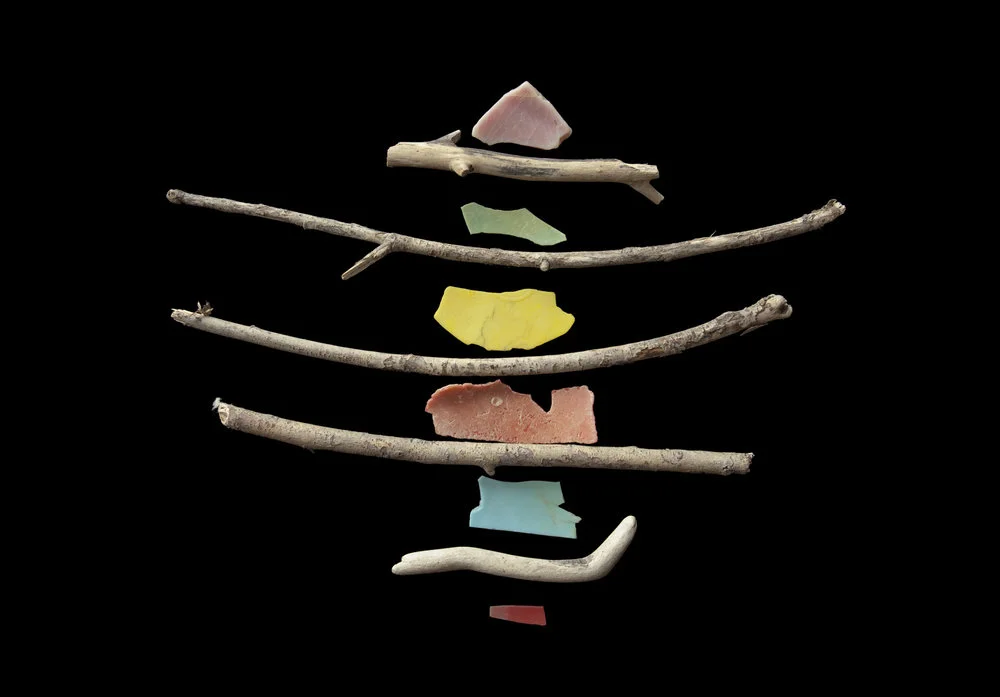 twigs litter