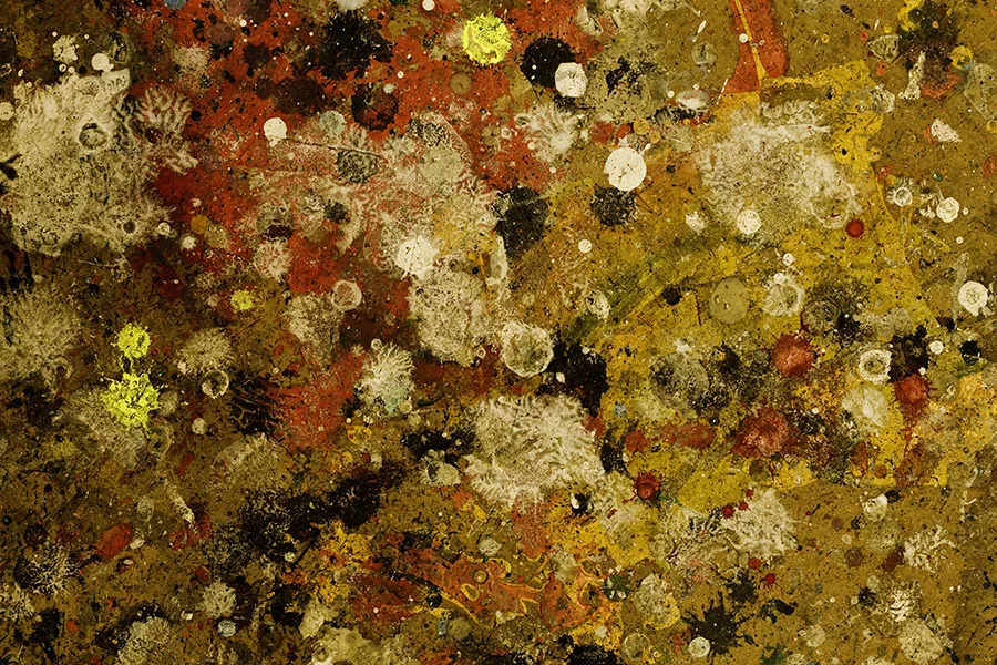 abstract warm toned paint messy splotches