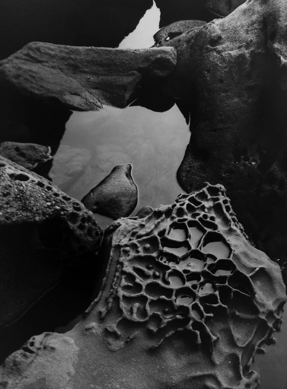 close up rocks collecting water