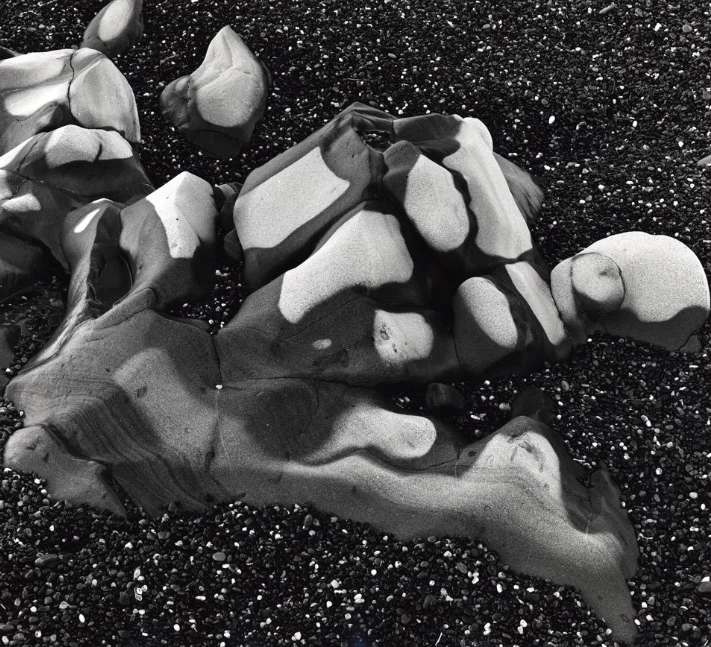 detail beach rocks
