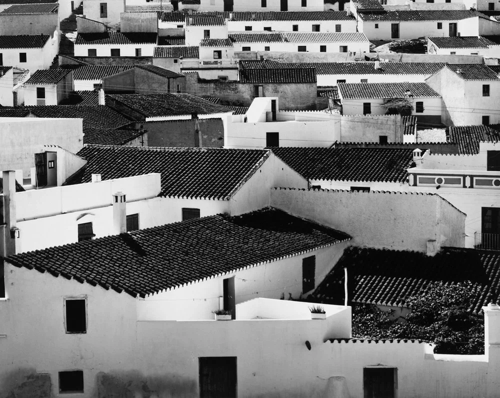 full framed tile roof view white houses