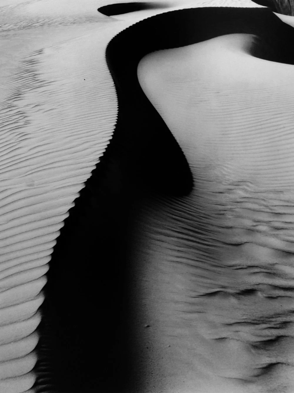 high contrast ridged edge sand dunes