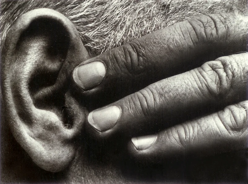 close up aged fingers ear short grey hair