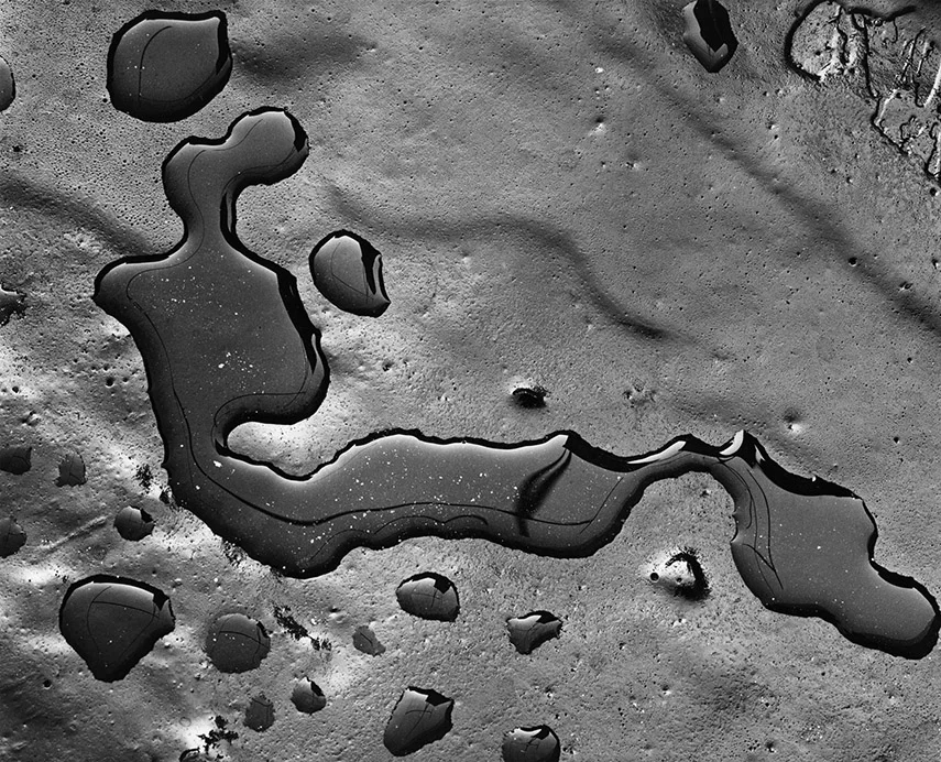 detail dark water droplet form