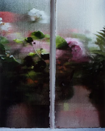flowers seen through window