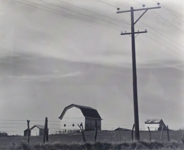 Barn & Telephone Poles