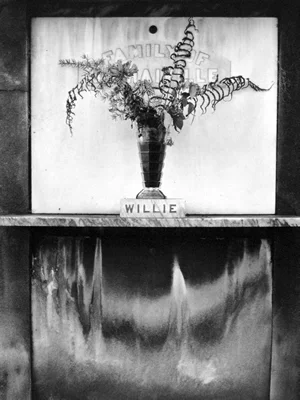 tomb with fern and willie name placard
