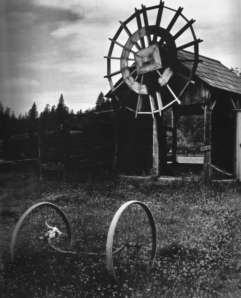 wind mill farm