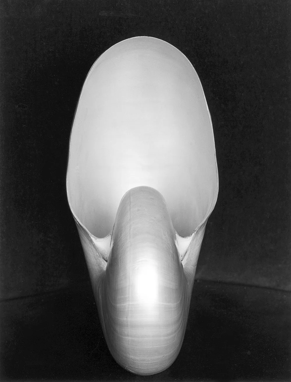 vertical shell