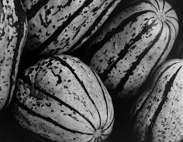 squashes