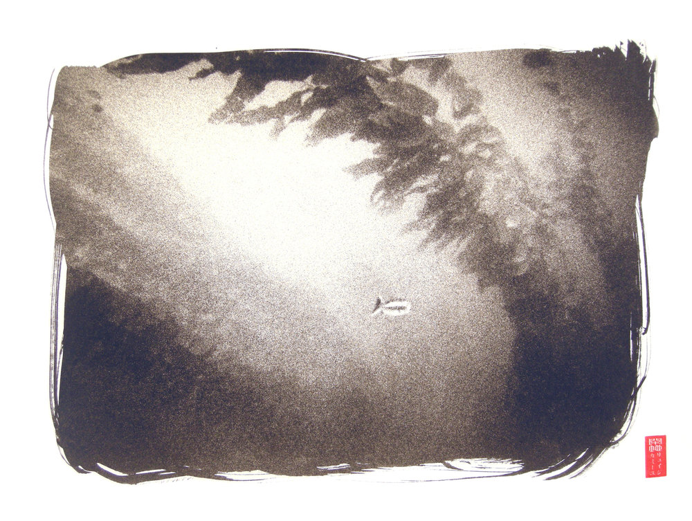 underwater kelp light lit up fish