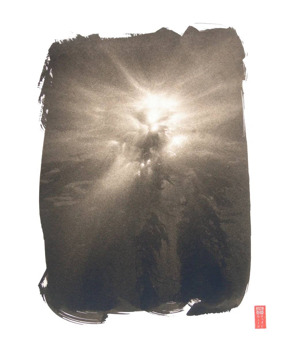 brilliant sun seen from underwater kelp