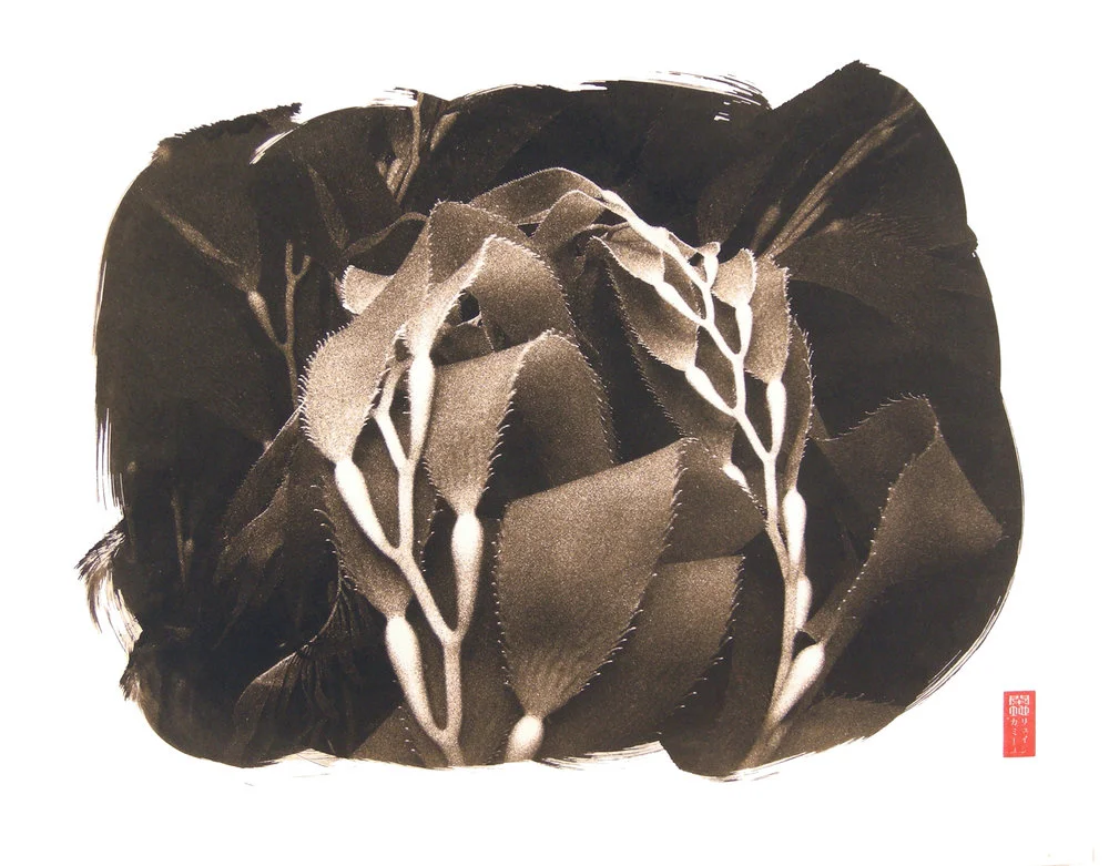 detail kelp folding ribbon forms