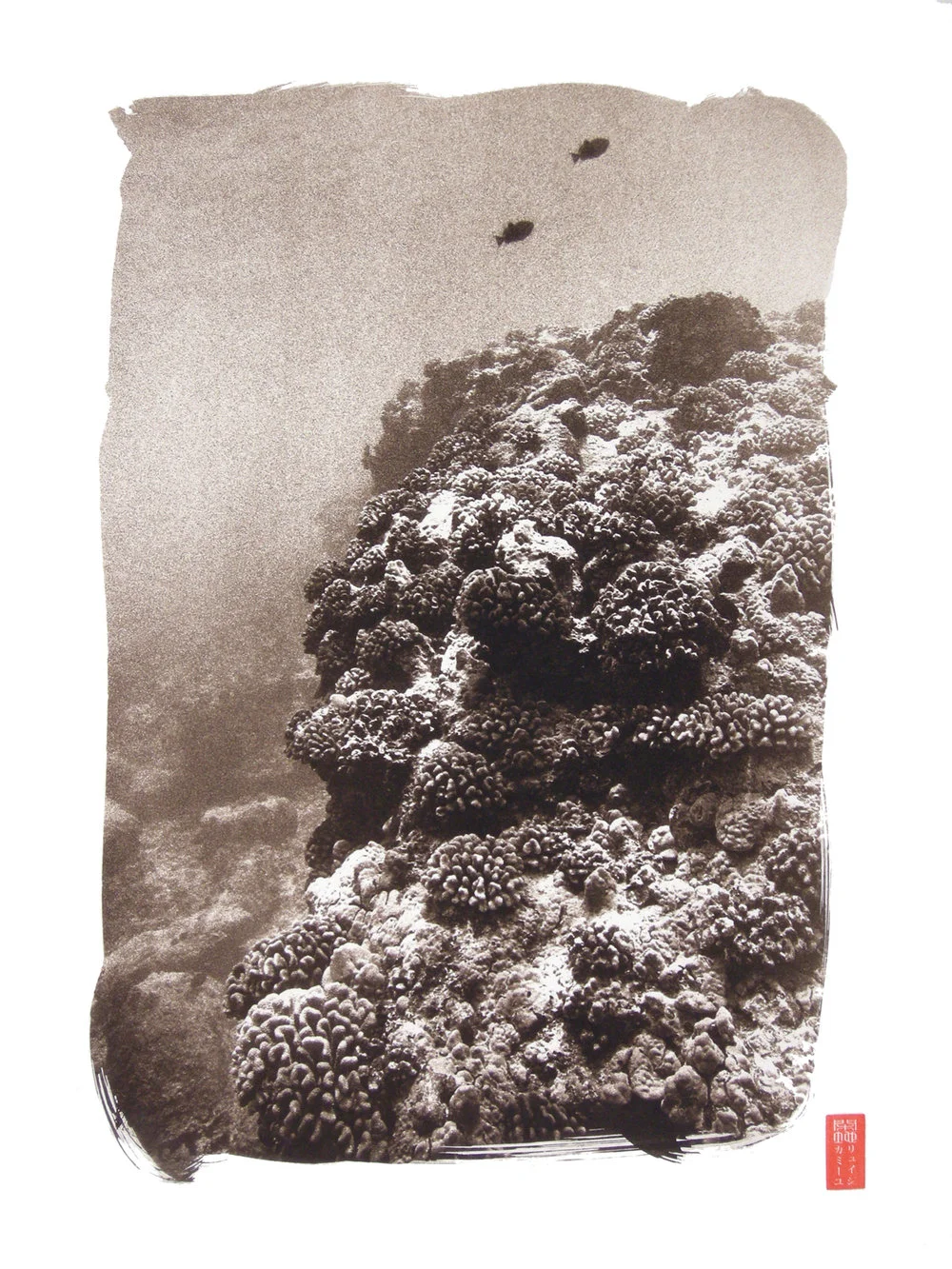 textured reef with two fish underwater