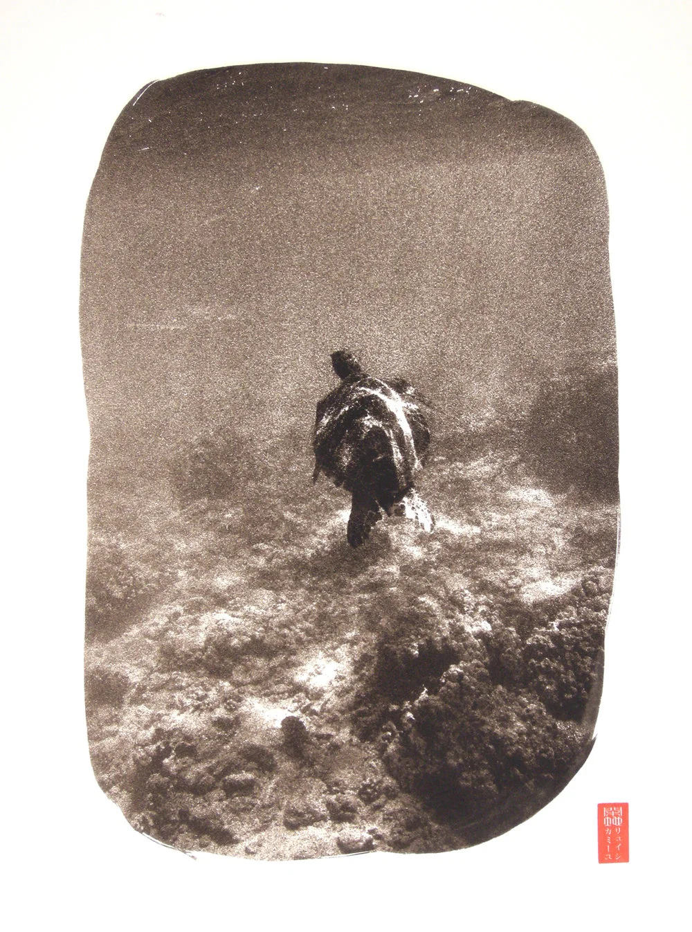 sea turtle seen from behind near reef light caustics