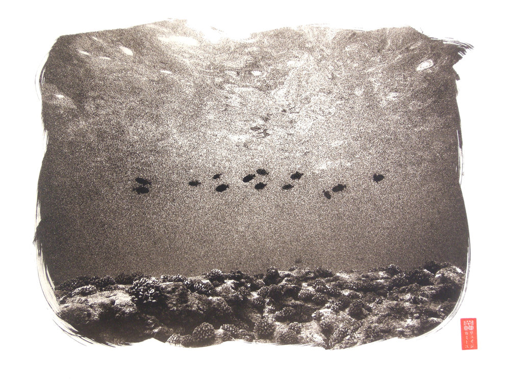 small group black fish above flat reef line