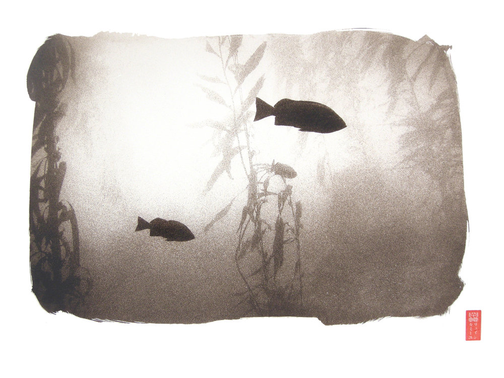 two black fish silhouetted light kelp underwater