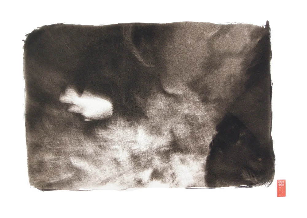 blurred fish against abstract light forms