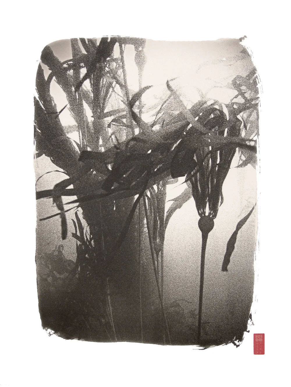 silhouetted waving kelp forms underwater