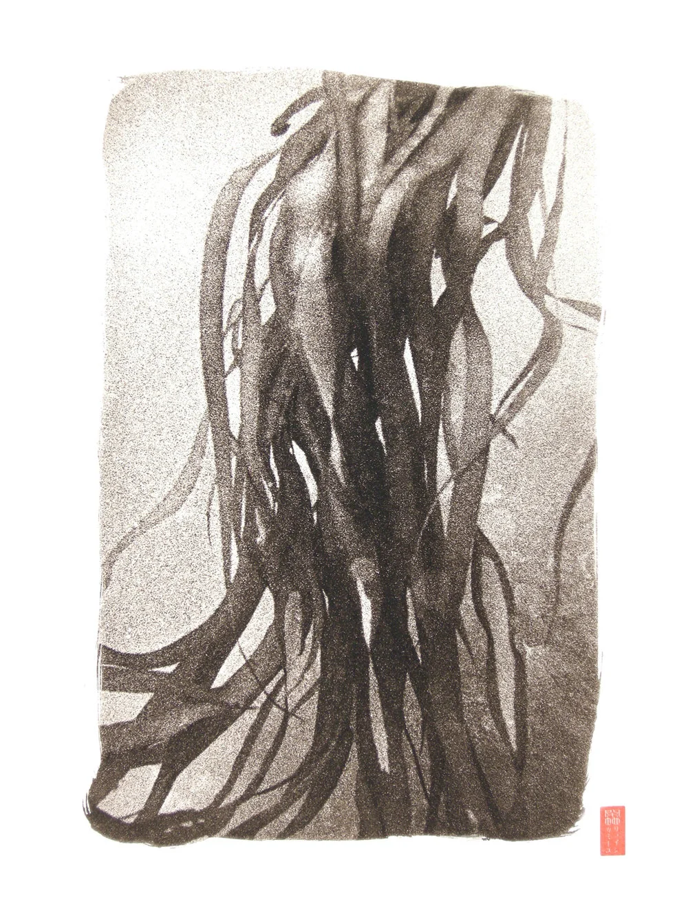 detail kelp ribbons underwater