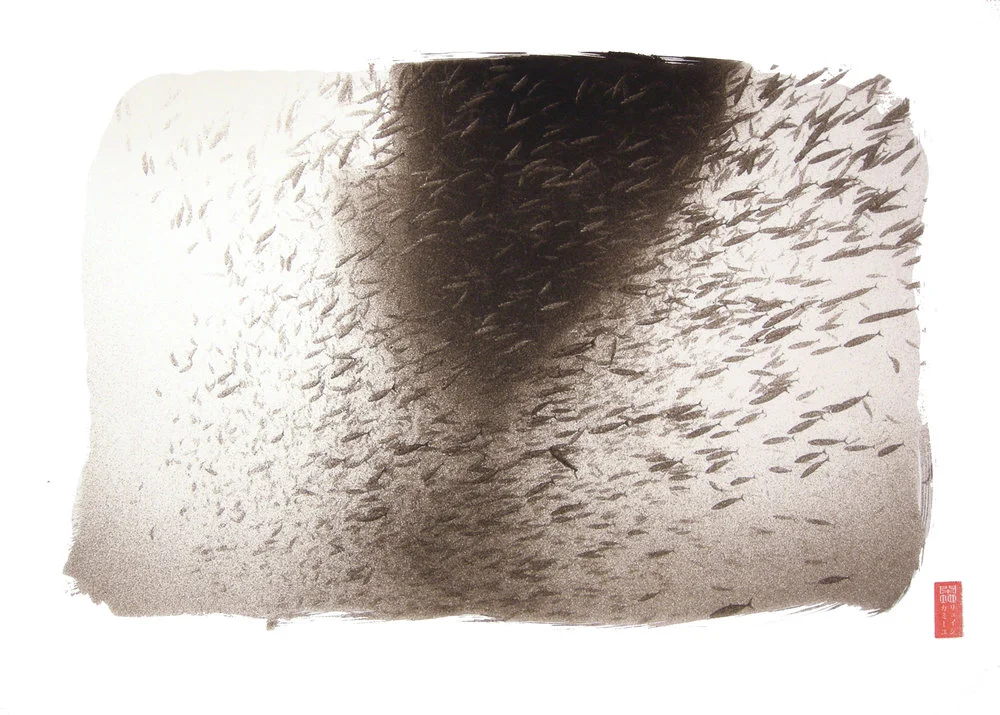school of fish with black shadowy form in middle