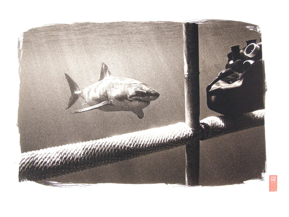 shark seen from behind bars with diver