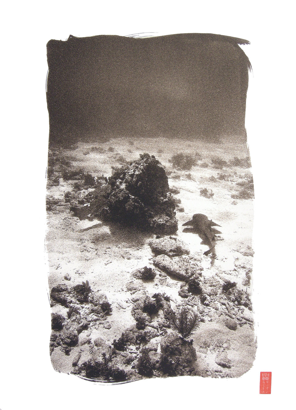 shark swimming close to rocky sea floor
