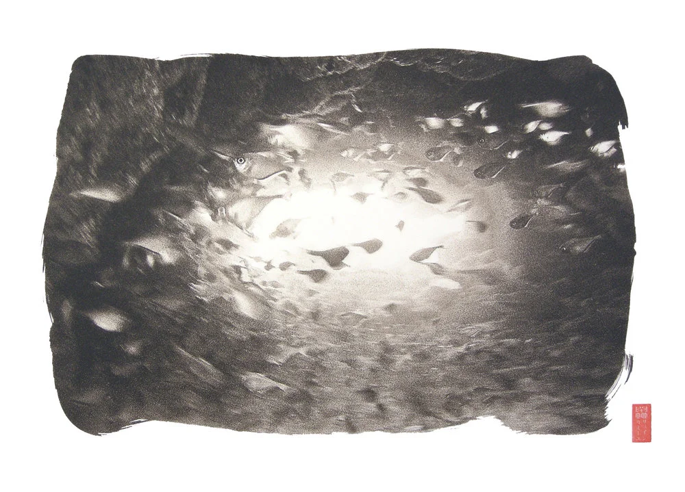 blurry abstract school of fish with center light