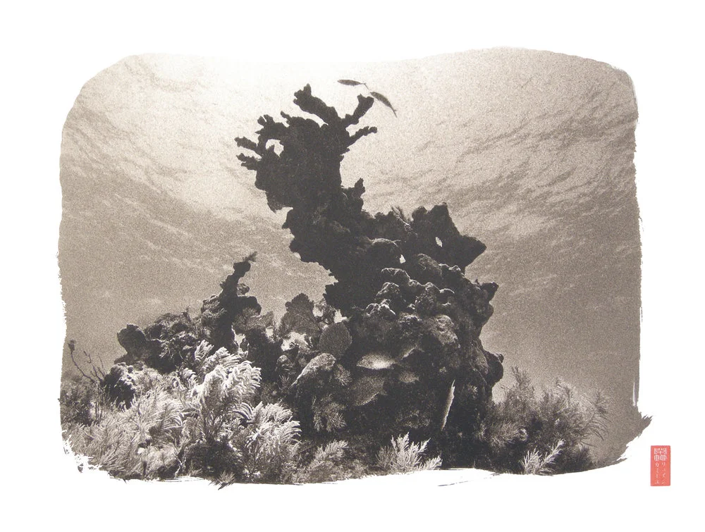 silhouette of complex reef tower underwater