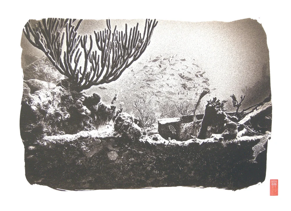 tree like coral school of fish underwater ship wreck