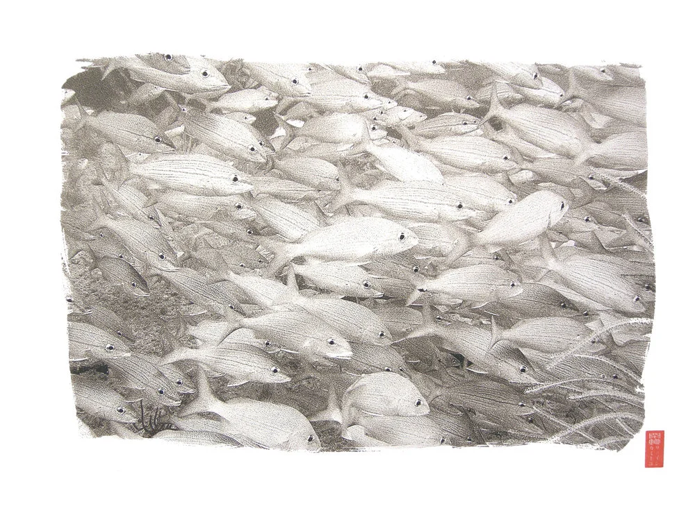 full frame silvery fish packed together