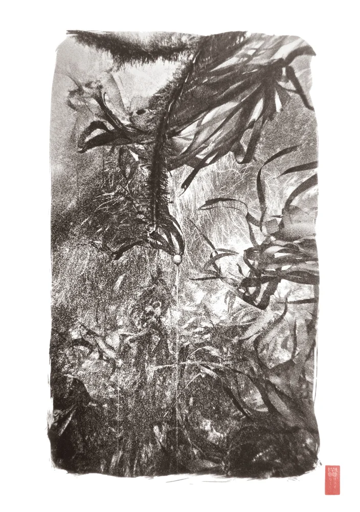 array of busy kelp forms