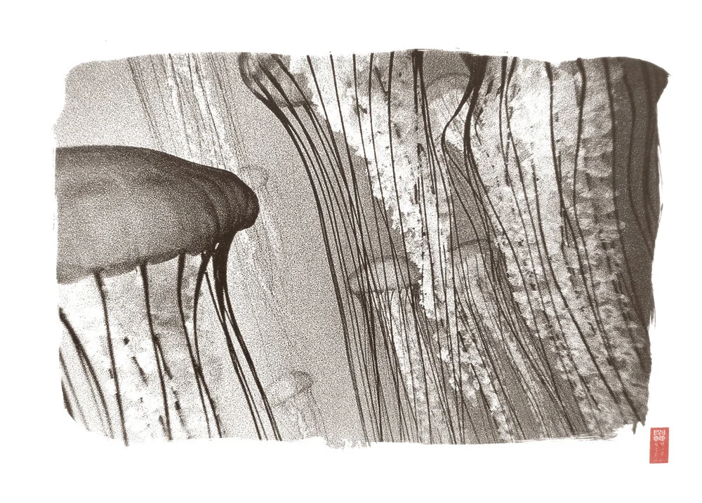foreground detailed group of jellyfish
