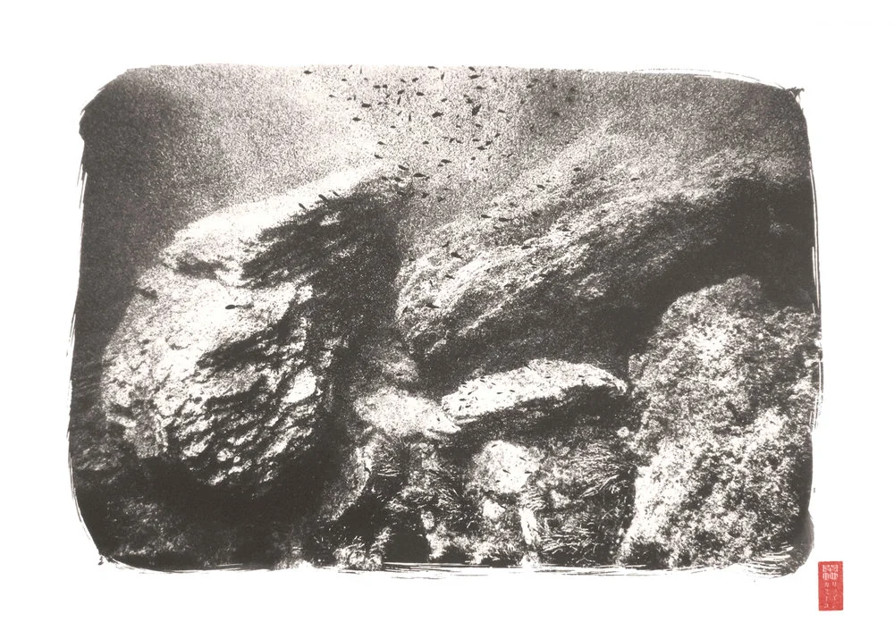 small speckling of black fish against large rocks