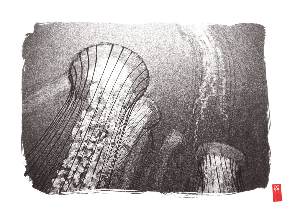upwards view to jellyfish with long tendrils