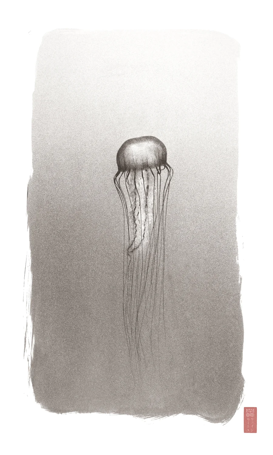 translucent jellyfish against open water