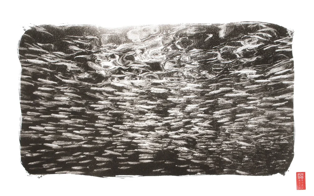 full framed school of tightly packed anchovies