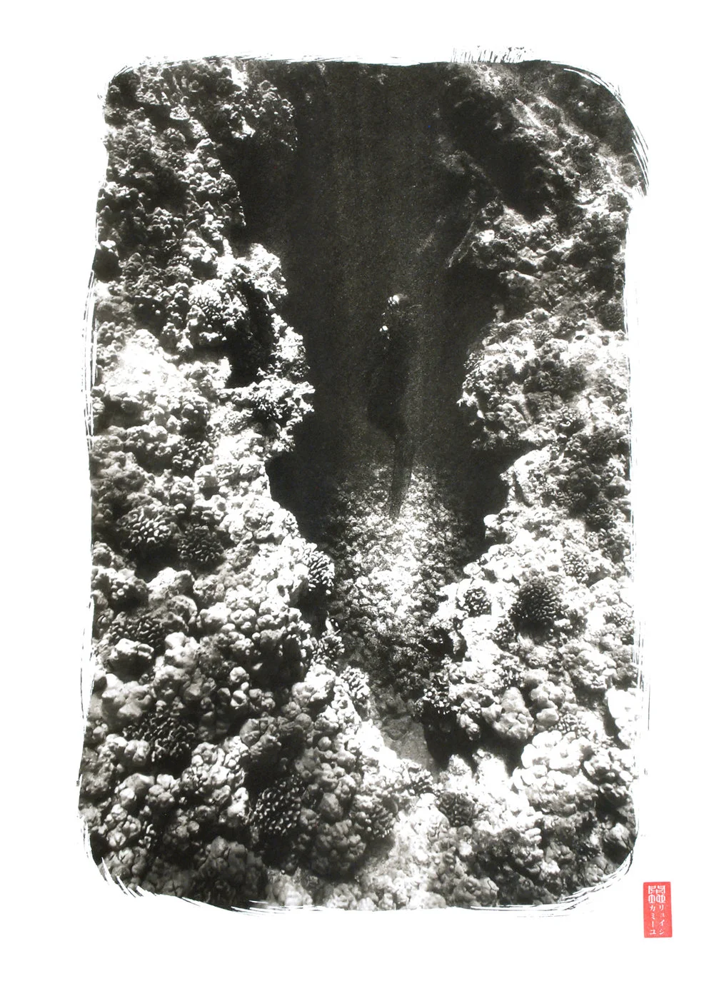 diver between two deep coral walls