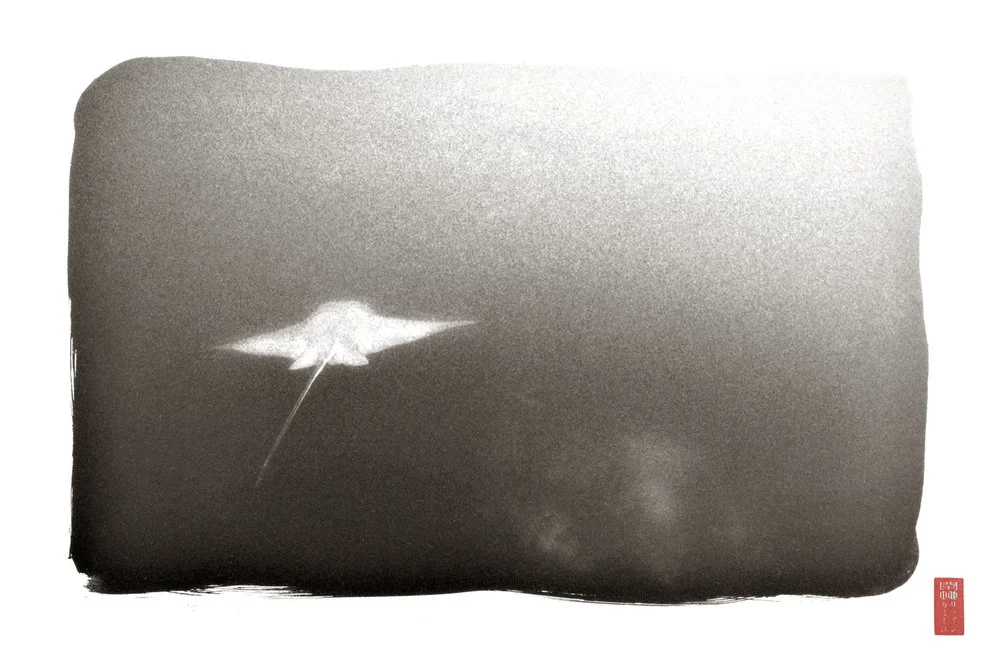 viewed behind white stingray in dark waters gliding