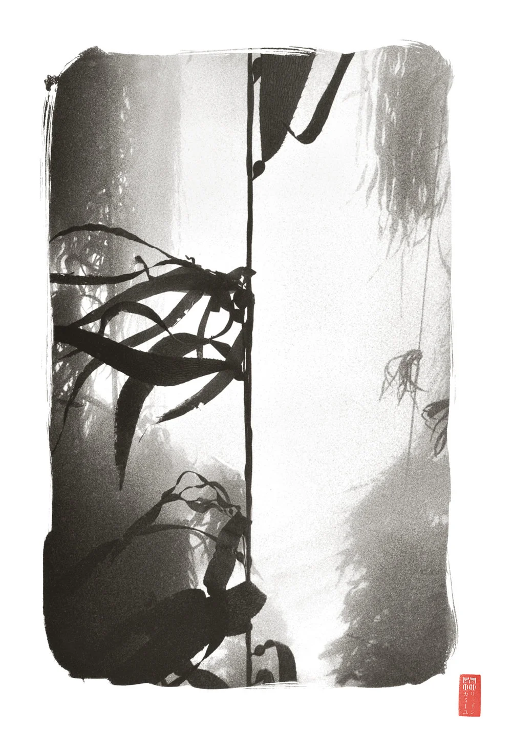 silhouetted kelp against cloudy white background