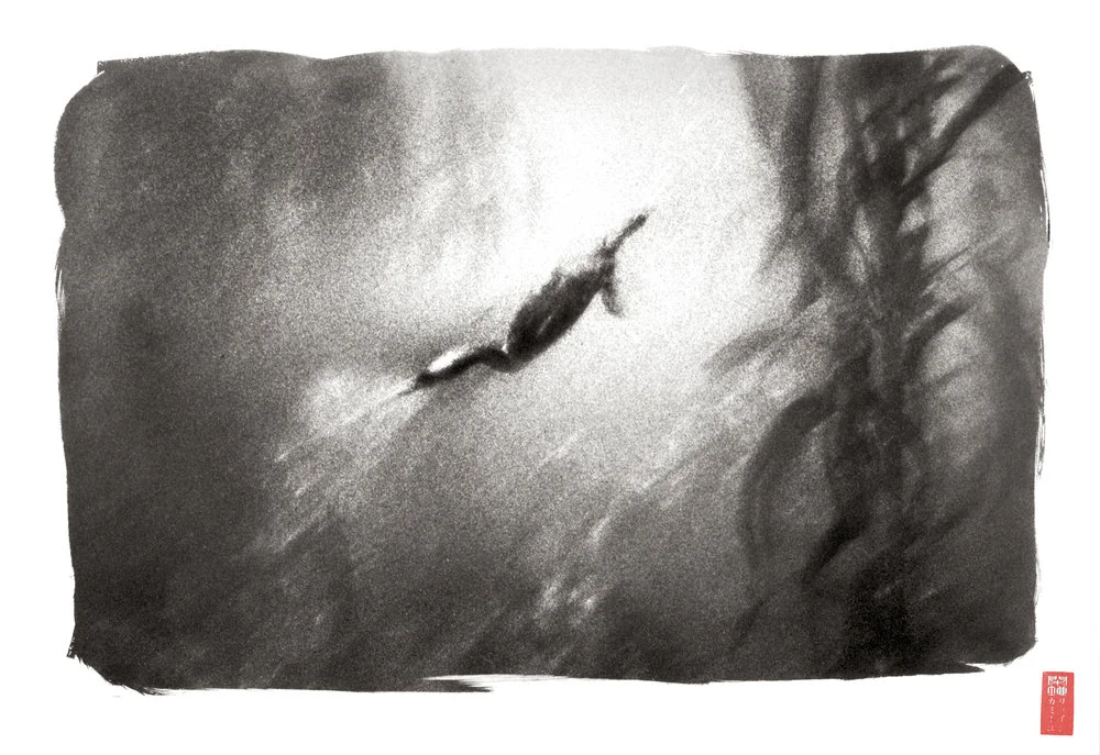 blurry bird in mid dive underwater