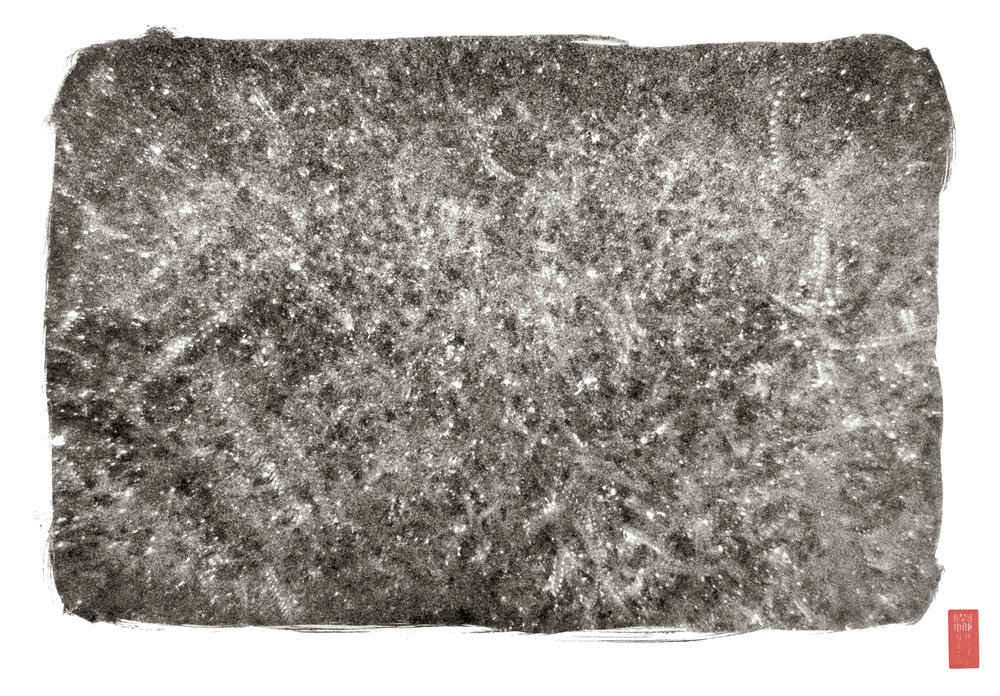 full frame view of salps