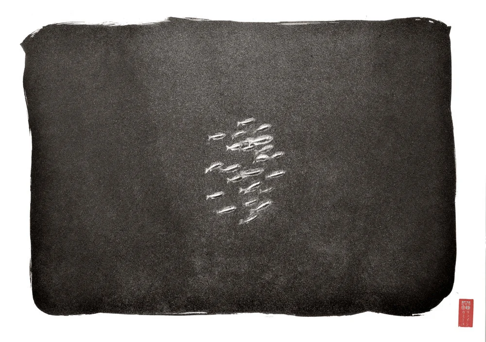 centered tight group of silver fish dark waters