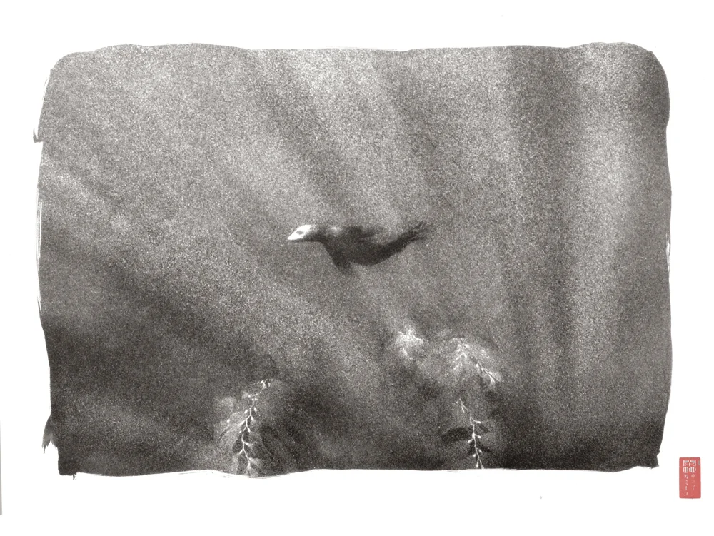 seal swimming amongst sun beams waving kelp