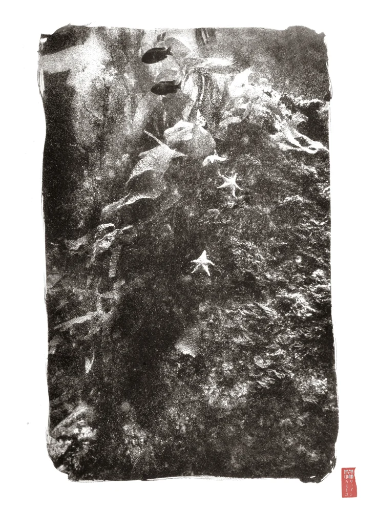 two starfish against rocky textured reef