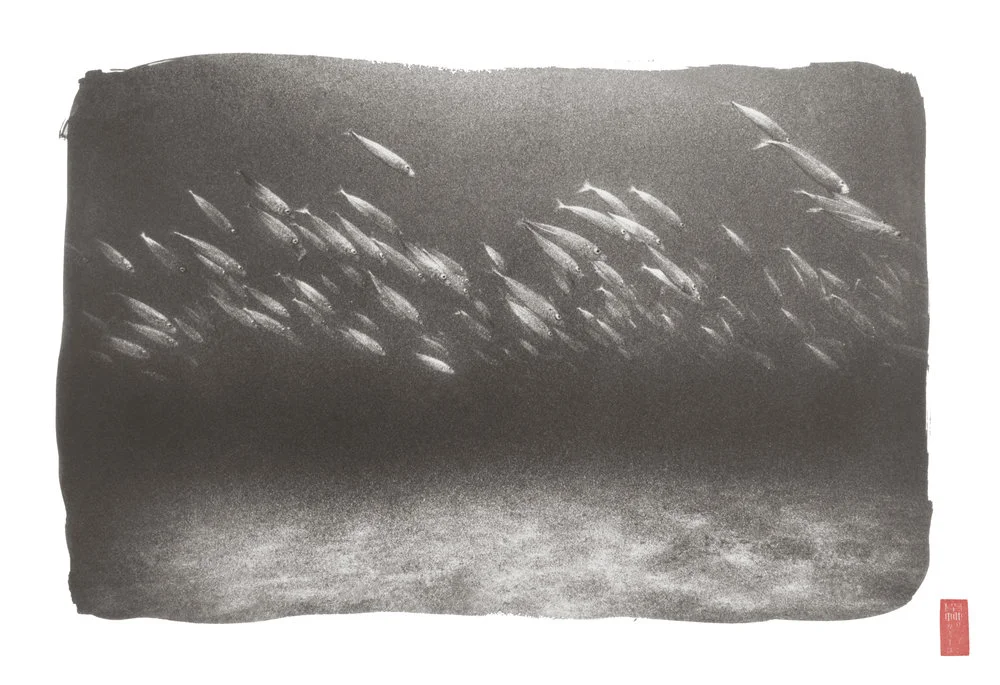 synchronized mackerel swimming near sandy floor